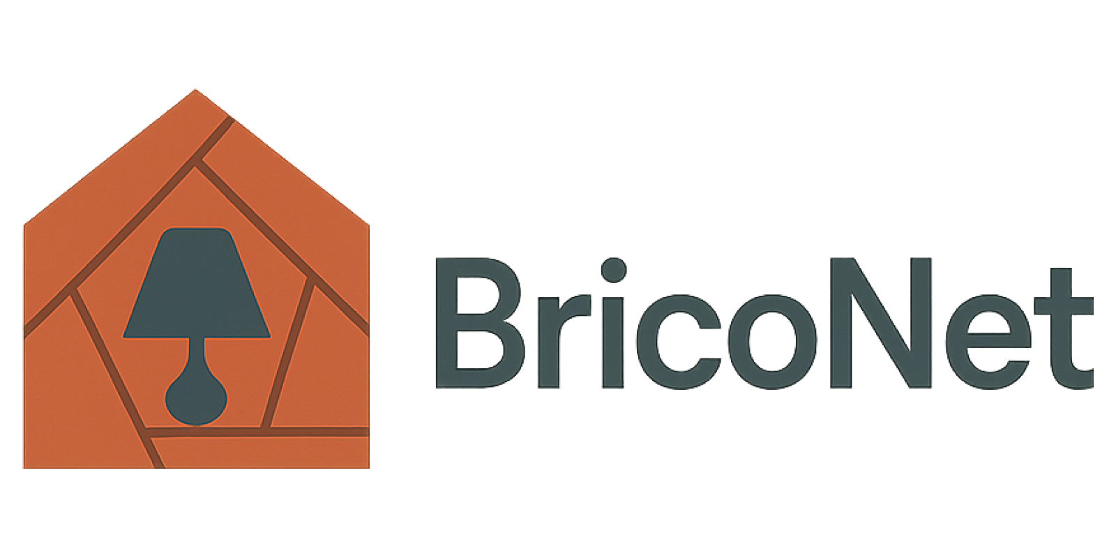BricoNet