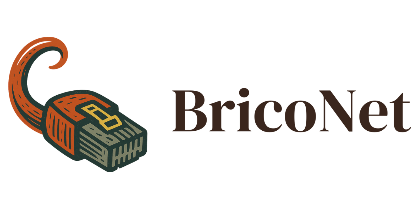 BricoNet